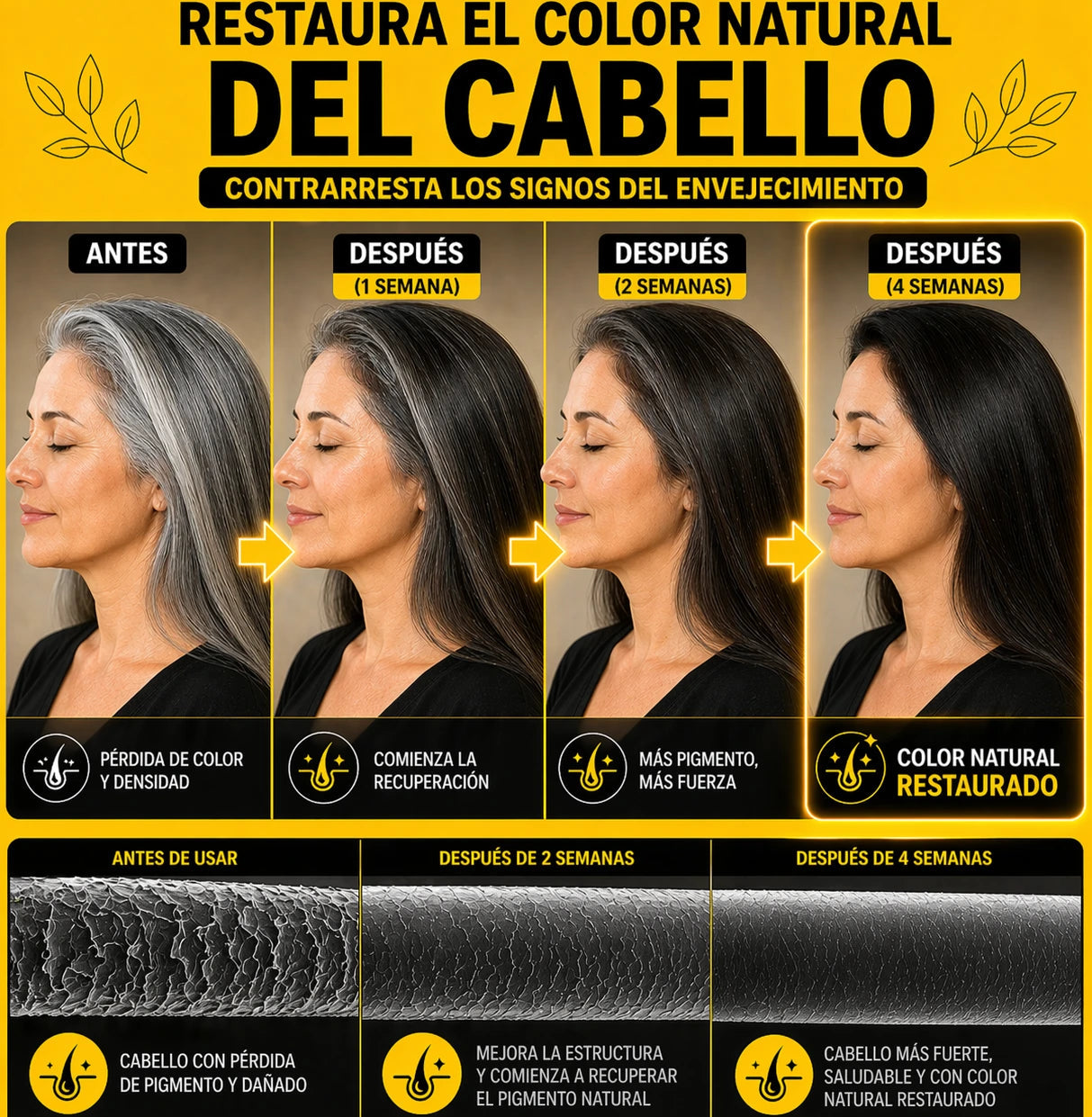 Shampoo 3 en 1 | Negro Natural Desde la 1ra Lavada